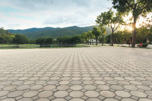 Best Decorative Driveway Pavers  in Crisfield, MD